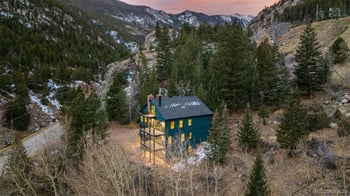 205 Loop Dr, Georgetown, CO 80444