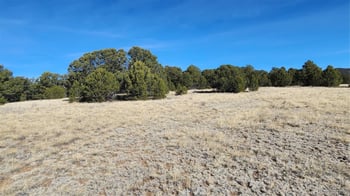 312 16th Trl, Cotopaxi, CO 81223