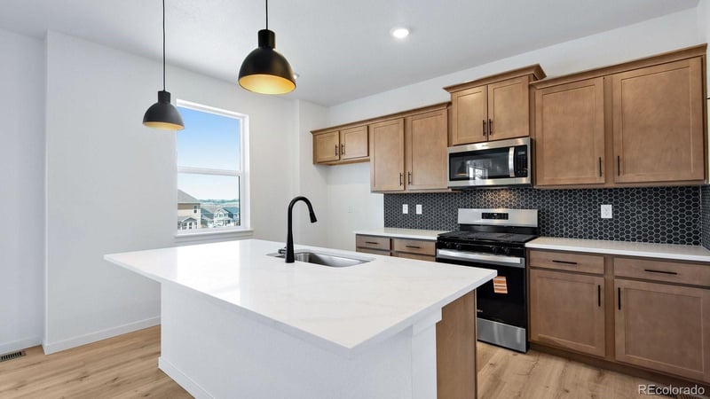 14020 Alpine Phlox Ln, Parker, CO 80134