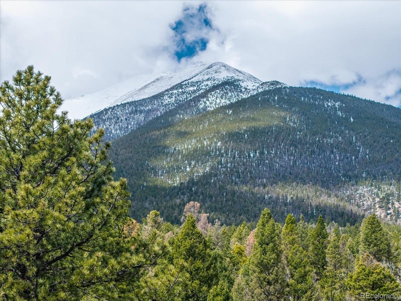 24900 County Road 339, Buena Vista, CO 81211