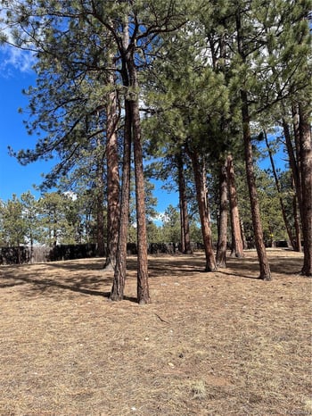 Pawnee Rd, Indian Hills, CO 80454