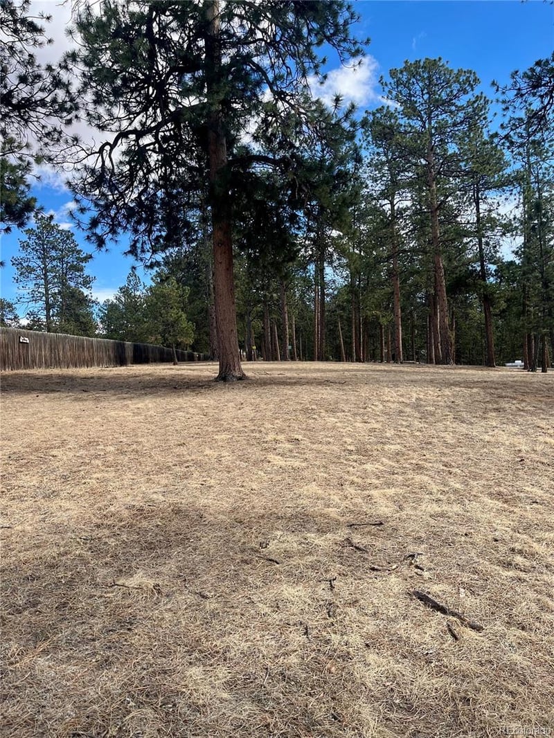 0 Pawnee Rd, Indian Hills, CO 80454