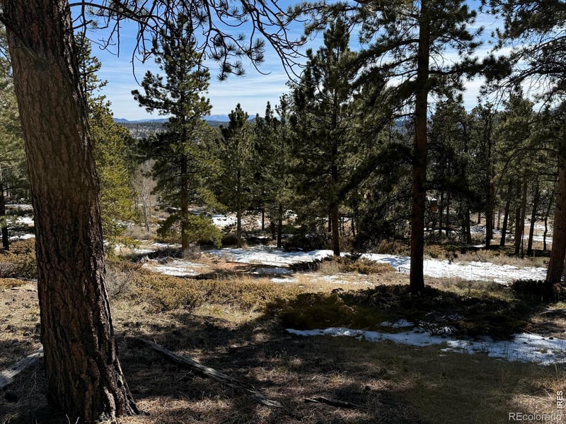 711 Osage Trl, Red Feather Lakes, CO 80545