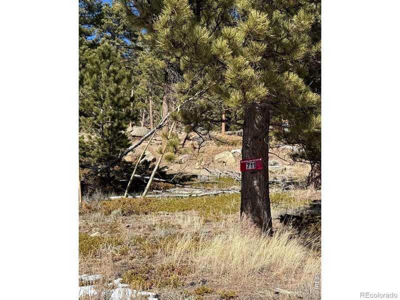 711 Osage Trl, Red Feather Lakes, CO 80545
