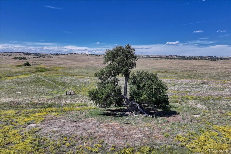 Fiddleback Ranch Rd, Kiowa, CO 80117