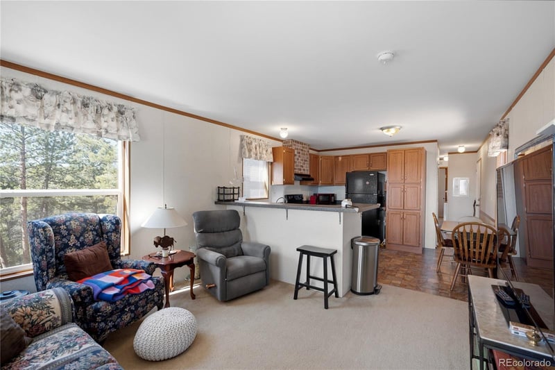 509 John Dr, Divide, CO 80814