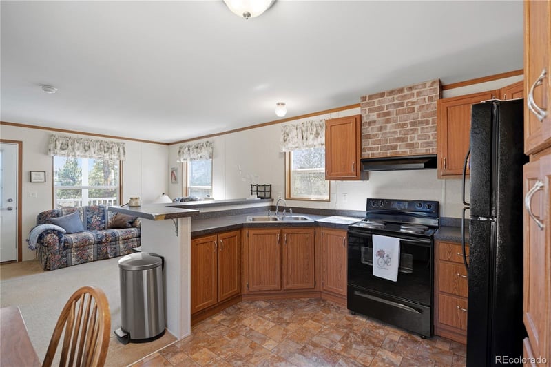 509 John Dr, Divide, CO 80814