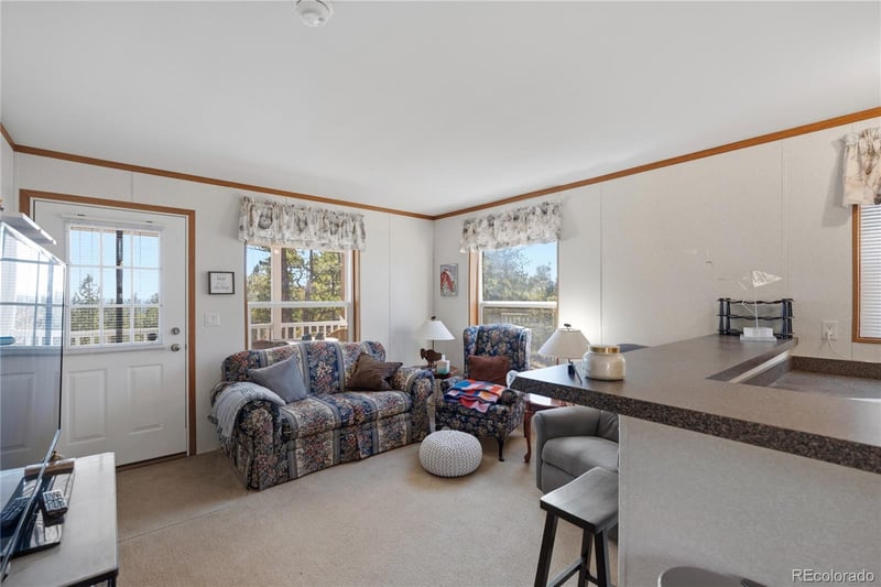 509 John Dr, Divide, CO 80814