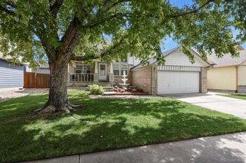 11630 Columbine St, Thornton, CO 80233