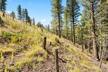 Lot 83 Conifer Dr, Evergreen, CO 80439