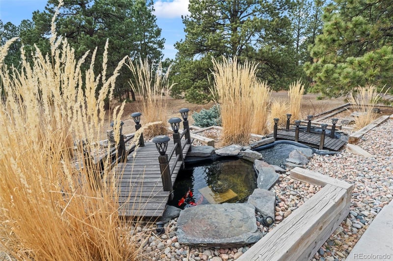 35348 Quick Fox Ct, Elizabeth, CO 80107