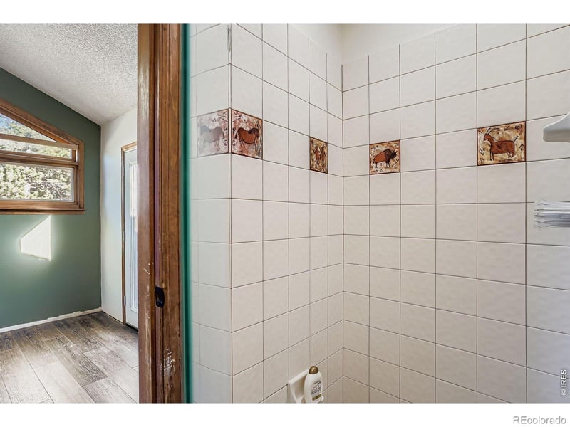 30172 Hilltop Dr, Evergreen, CO 80439