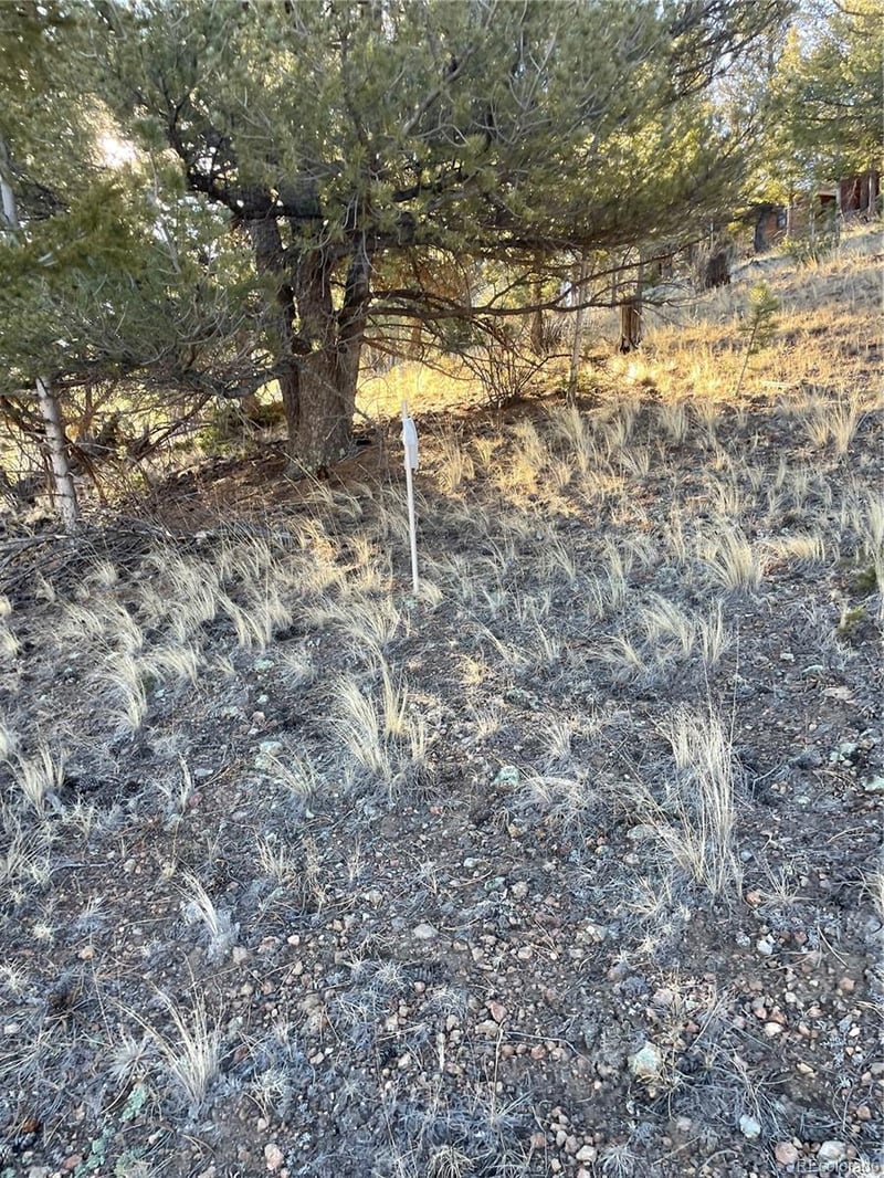 00 Tarryall Rd Lot 21, Hartsel, CO 80449