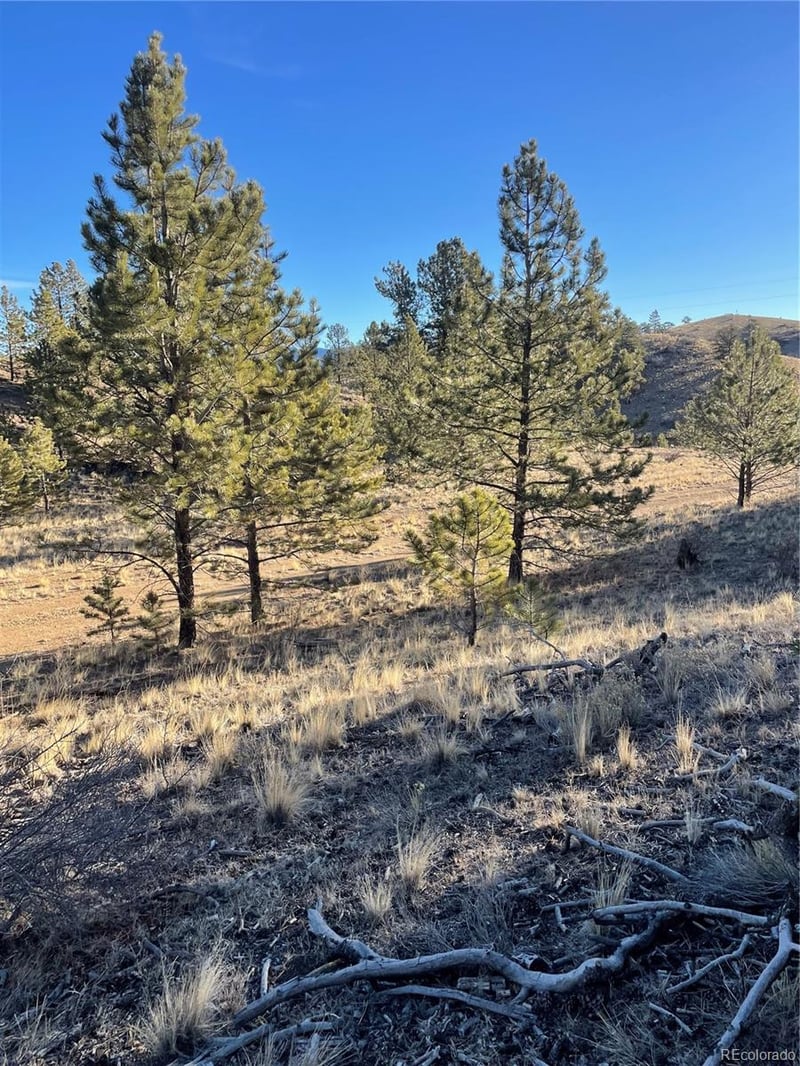 00 Tarryall Rd Lot 21, Hartsel, CO 80449