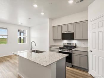 1620 Riverplace Dr #3, Windsor, CO 80550