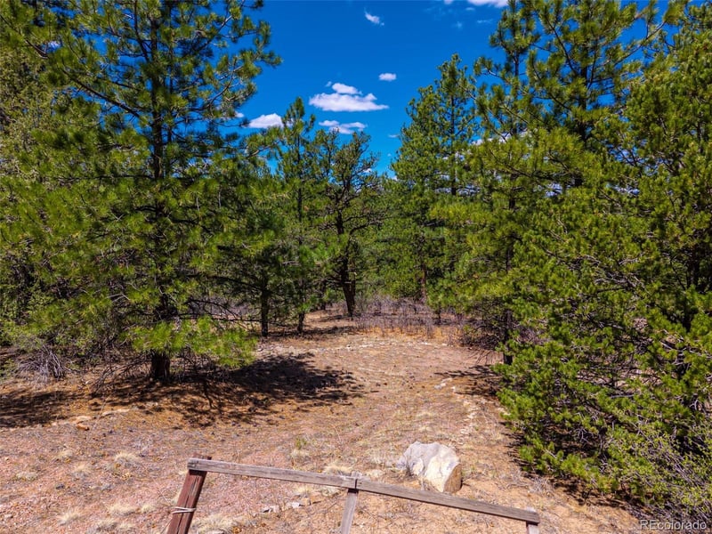 265 Alden Ln, Cotopaxi, CO 81223