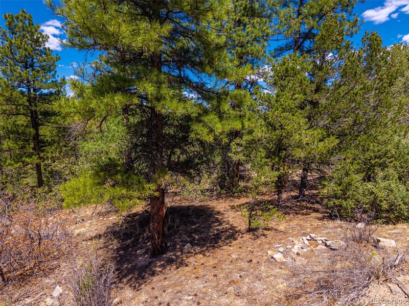 265 Alden Ln, Cotopaxi, CO 81223