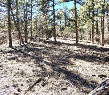 265 Alden Ln, Cotopaxi, CO 81223