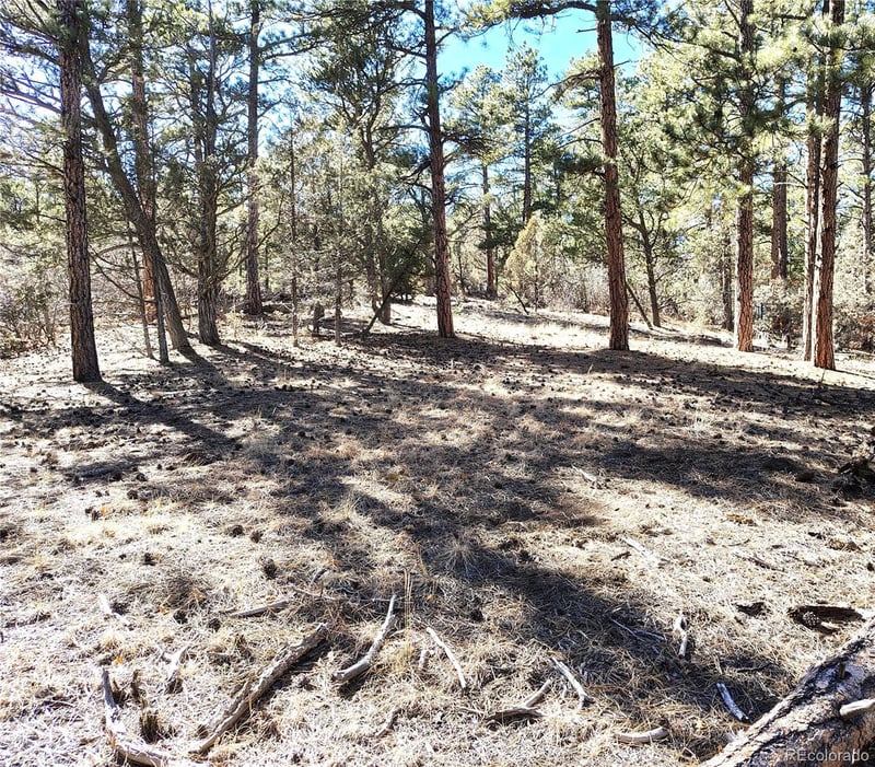 265 Alden Ln, Cotopaxi, CO 81223