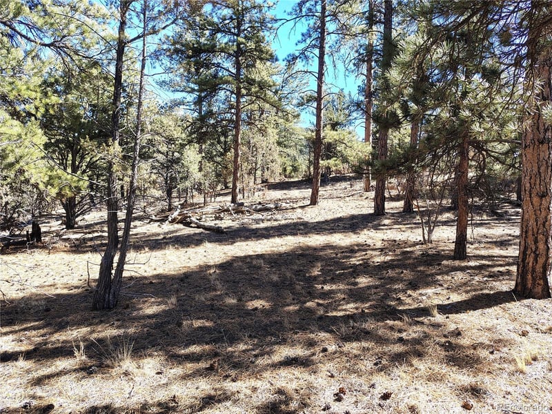 265 Alden Ln, Cotopaxi, CO 81223