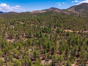 265 Alden Ln, Cotopaxi, CO 81223