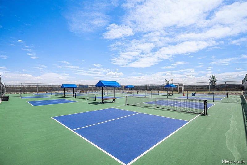 14341 Beebalm Loop, Parker, CO 80134