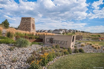 14341 Beebalm Loop, Parker, CO 80134