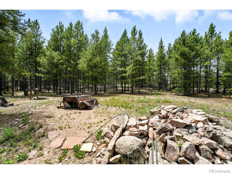 754 Mescalero Dr, Red Feather Lakes, CO 80545