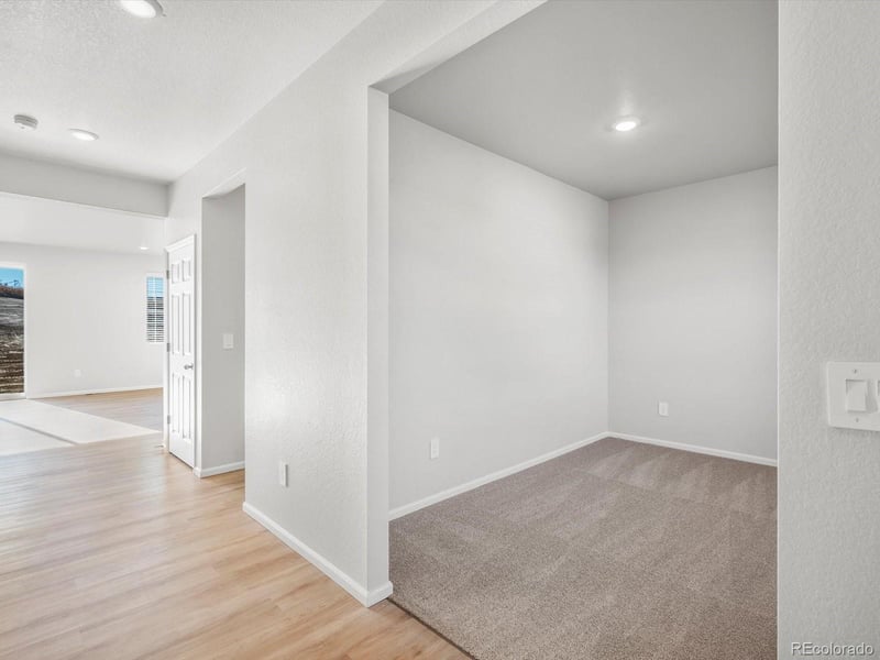 1206 Spring Creek Dr, Windsor, CO 80550