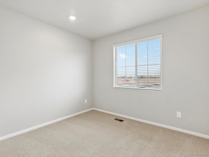 1683 Yampa River Dr, Windsor, CO 80550