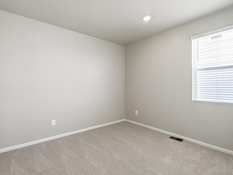 1612 Rumley Creek Dr, Windsor, CO 80550