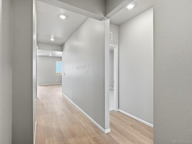 1612 Rumley Creek Dr, Windsor, CO 80550