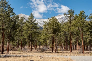 16205 County Road 327, Buena Vista, CO 81211