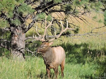 2074 Foothills Dr, Golden, CO 80401