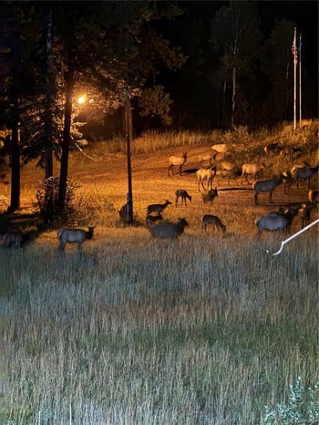 60 County Highway 67, Sedalia, CO 80135