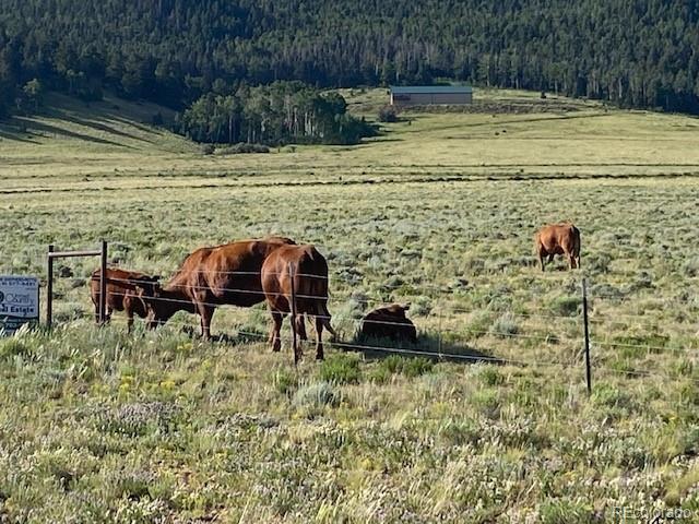 Eagle's Gate Rd, Westcliffe, CO 81252