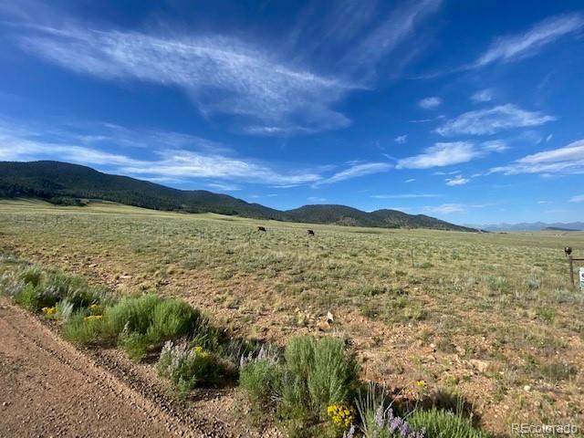 690 Eagle Gate Rd, Westcliffe, CO 81252