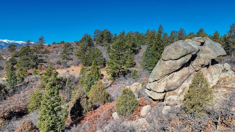 268 Basin Dr, Cotopaxi, CO 81223