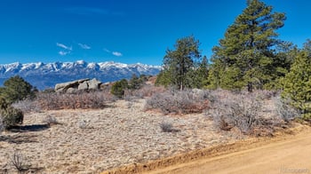 268 Basin Dr, Cotopaxi, CO 81223