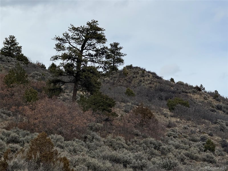 Lot 129 Flavin Ln, Fort Garland, CO 81133