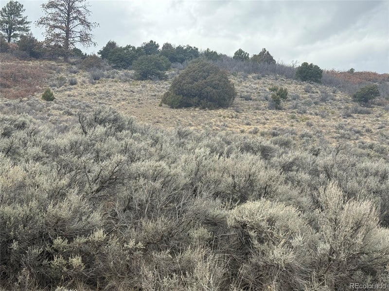Lot 129 Flavin Ln Lot 129, Fort Garland, CO 81133