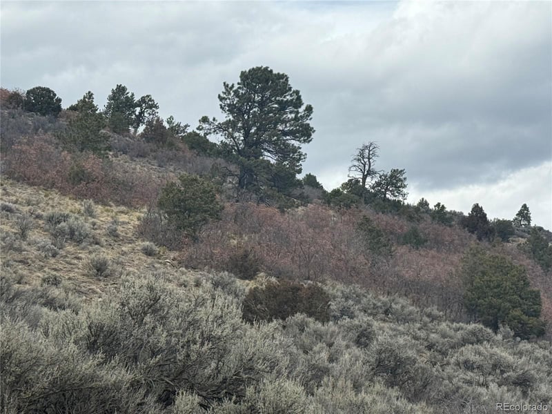 Lot 129 Flavin Ln Lot 129, Fort Garland, CO 81133