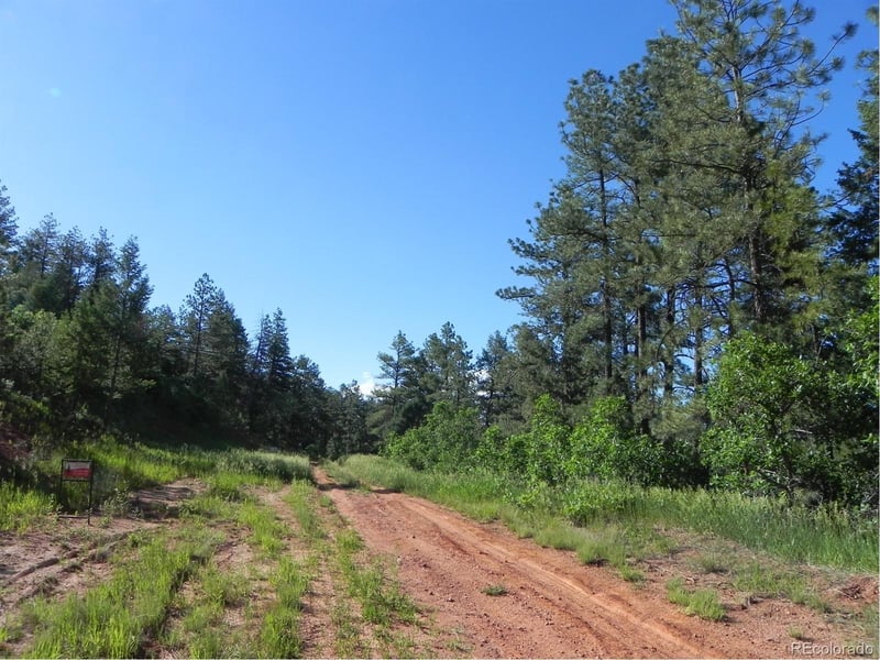8117 Acoma Dr, Larkspur, CO 80118