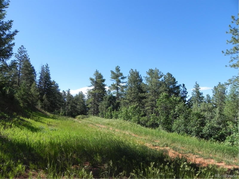 8117 Acoma Dr, Larkspur, CO 80118