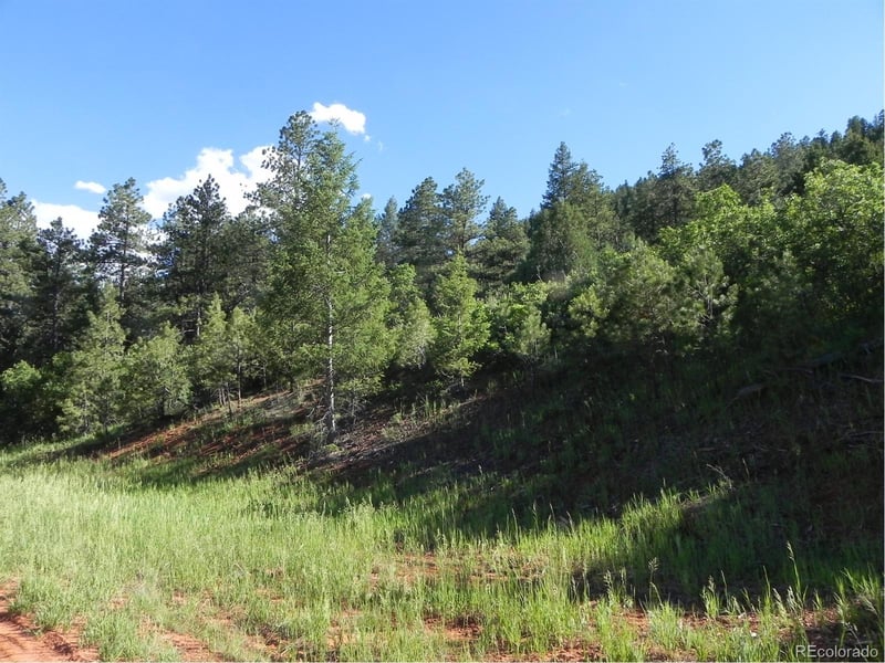 8117 Acoma Dr, Larkspur, CO 80118