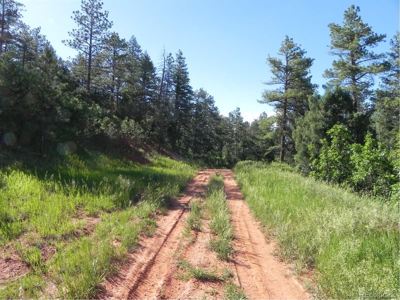 8117 Acoma Dr, Larkspur, CO 80118