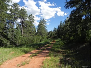 8117 Acoma Dr, Larkspur, CO 80118