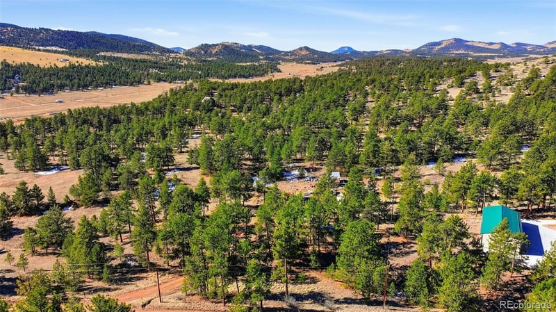 133 Wagon Wheel Rd, Guffey, CO 80820