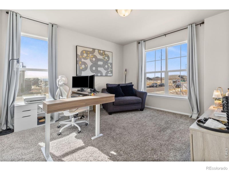 901 Ashbrook Dr, Windsor, CO 80550