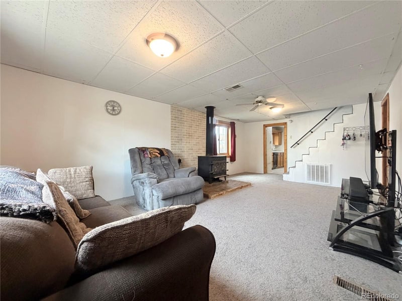 413 3rd St, Leadville, CO 80461